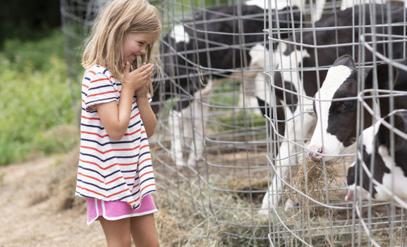 Vermont's liberty hill farm