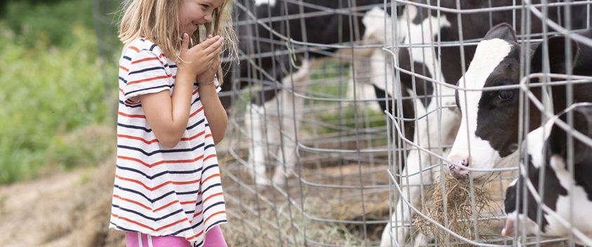Vermont's liberty hill farm