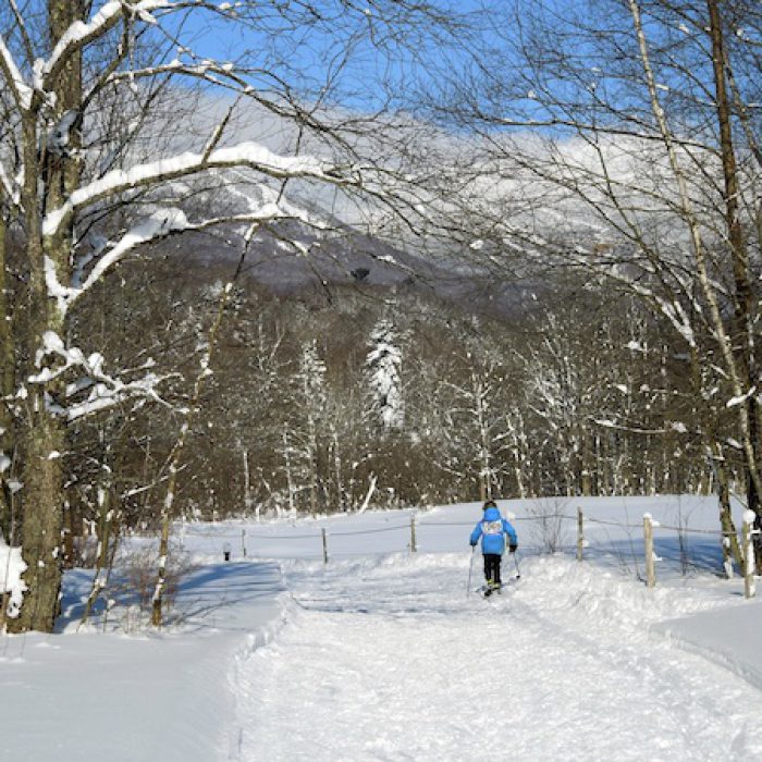 Cross-country Skiing with Kids in Stowe