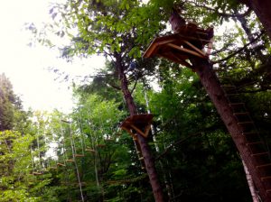 Geared up at the Arbortrek Treetop Obstacle Course
