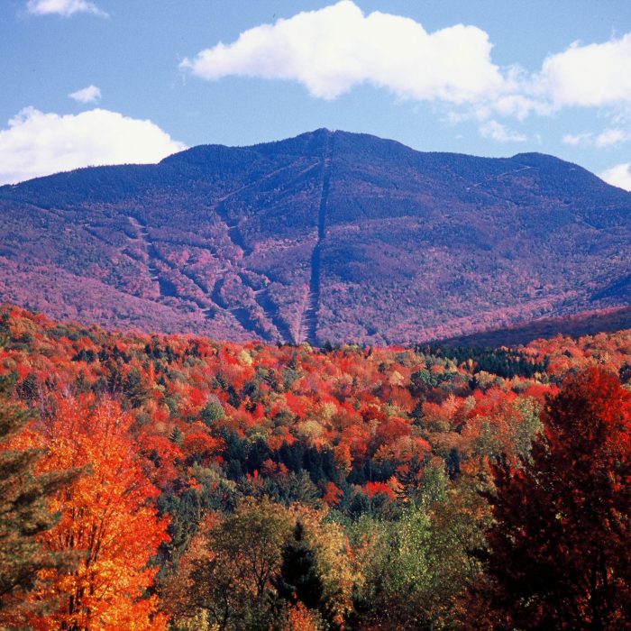 Fall Foliage in Vermont: A Unique Family Getaway