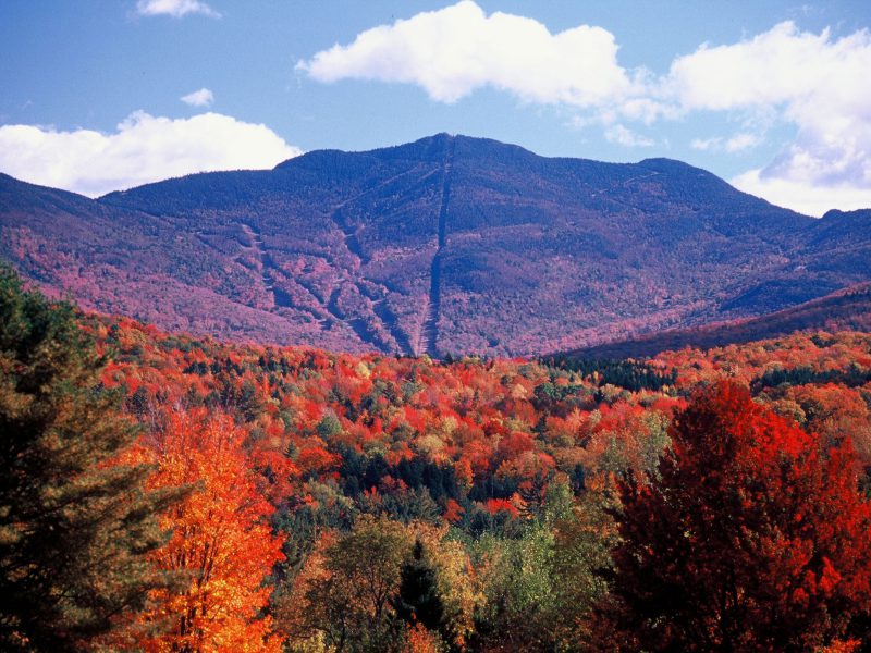 Fall Foliage in Vermont: A Unique Family Getaway