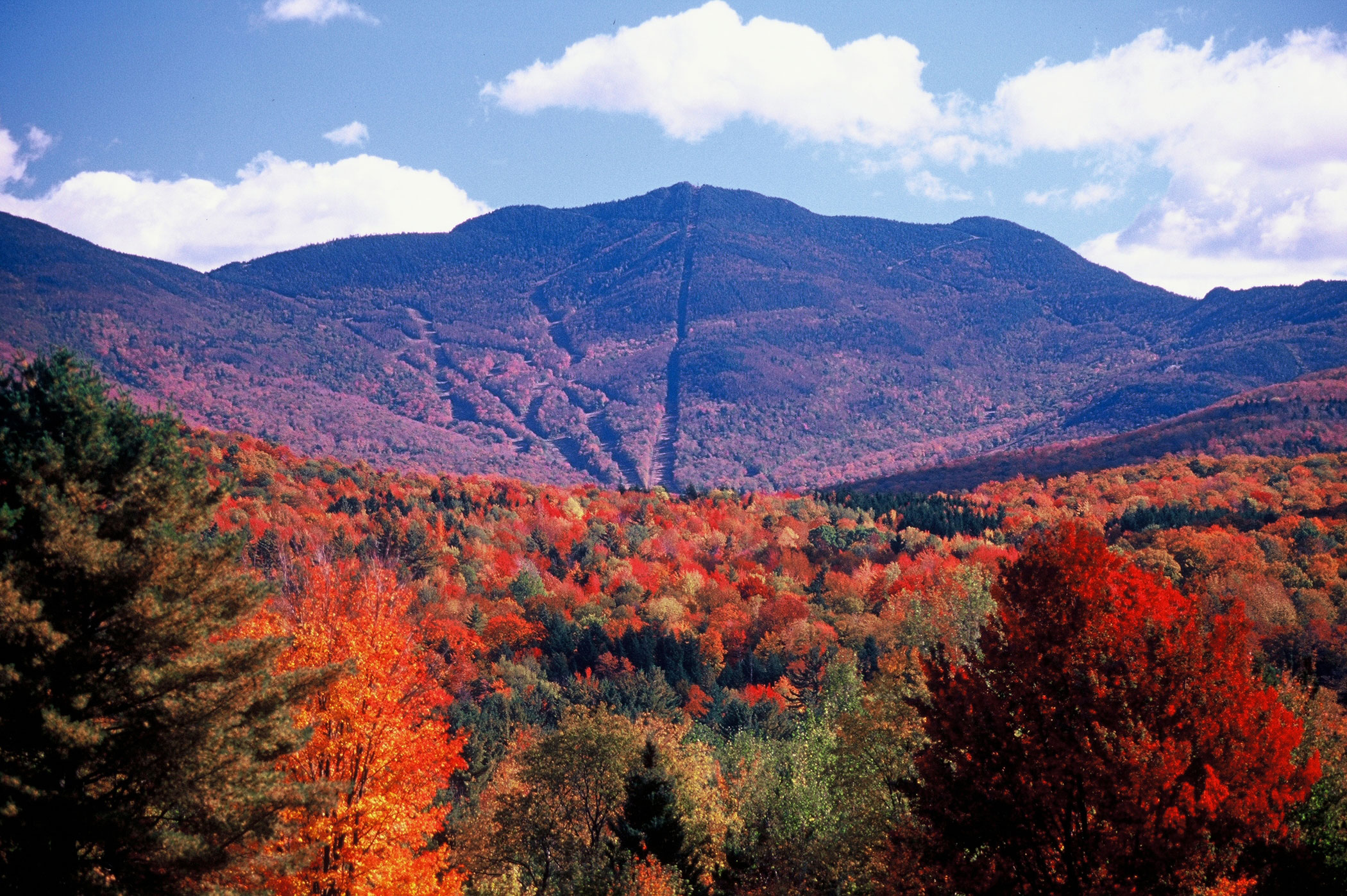 Peak Fall Foliage 2025 Vermont - Elane Emmaline