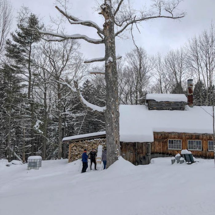 Sweet Fun on the Trapp Family Lodge Sugar Maple Tour