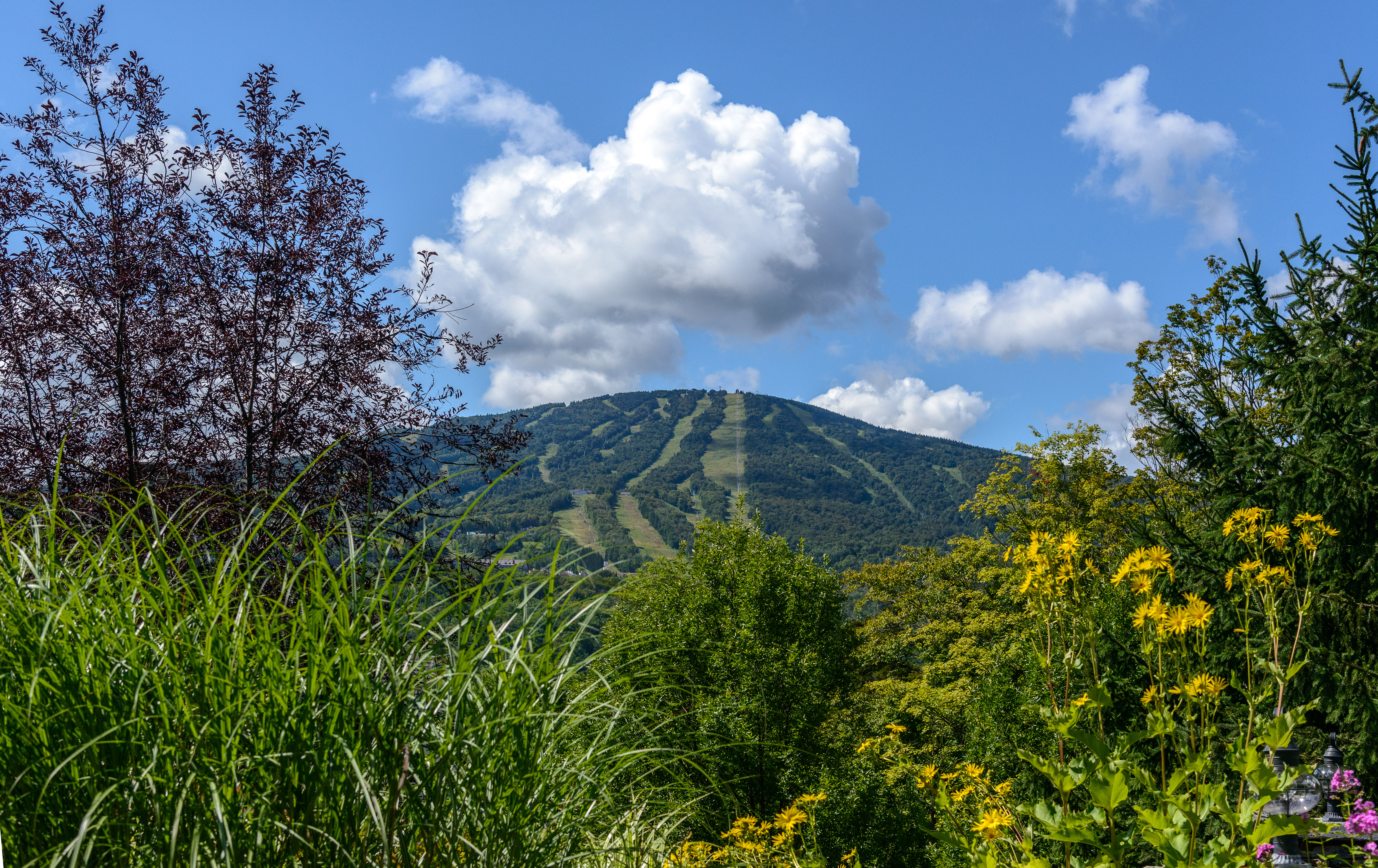 Top Summer Family Events at Vermont Ski Resorts