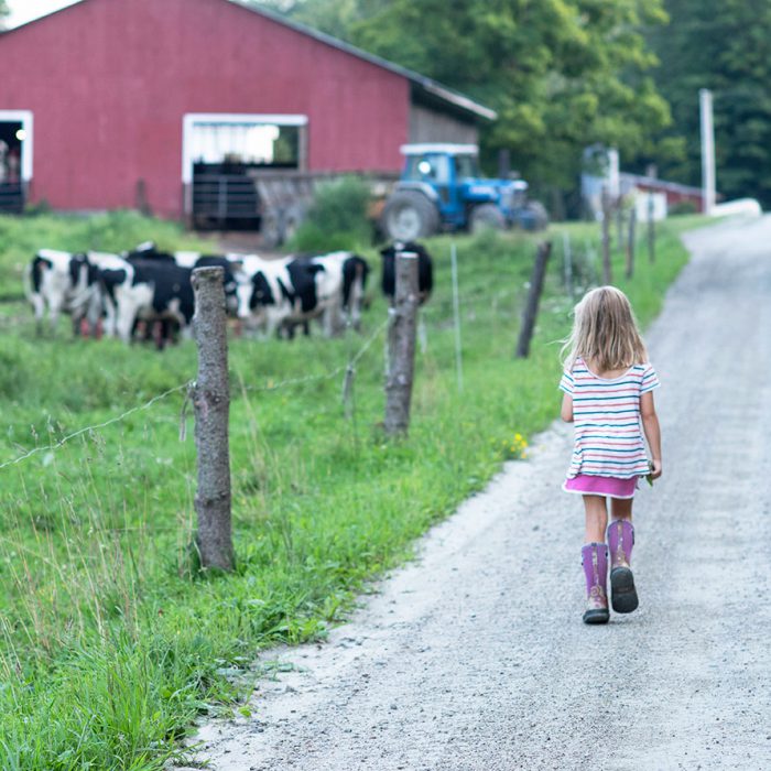 Two Ski Areas, One Farm: The Magic of a Route 100 Getaway