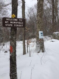 Bolton Valley's backcountry trails