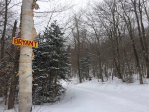 Bryant Trail at Bolton Valley