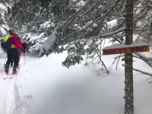 Raven's Wind Trail in the Bolton Valley Backcountry