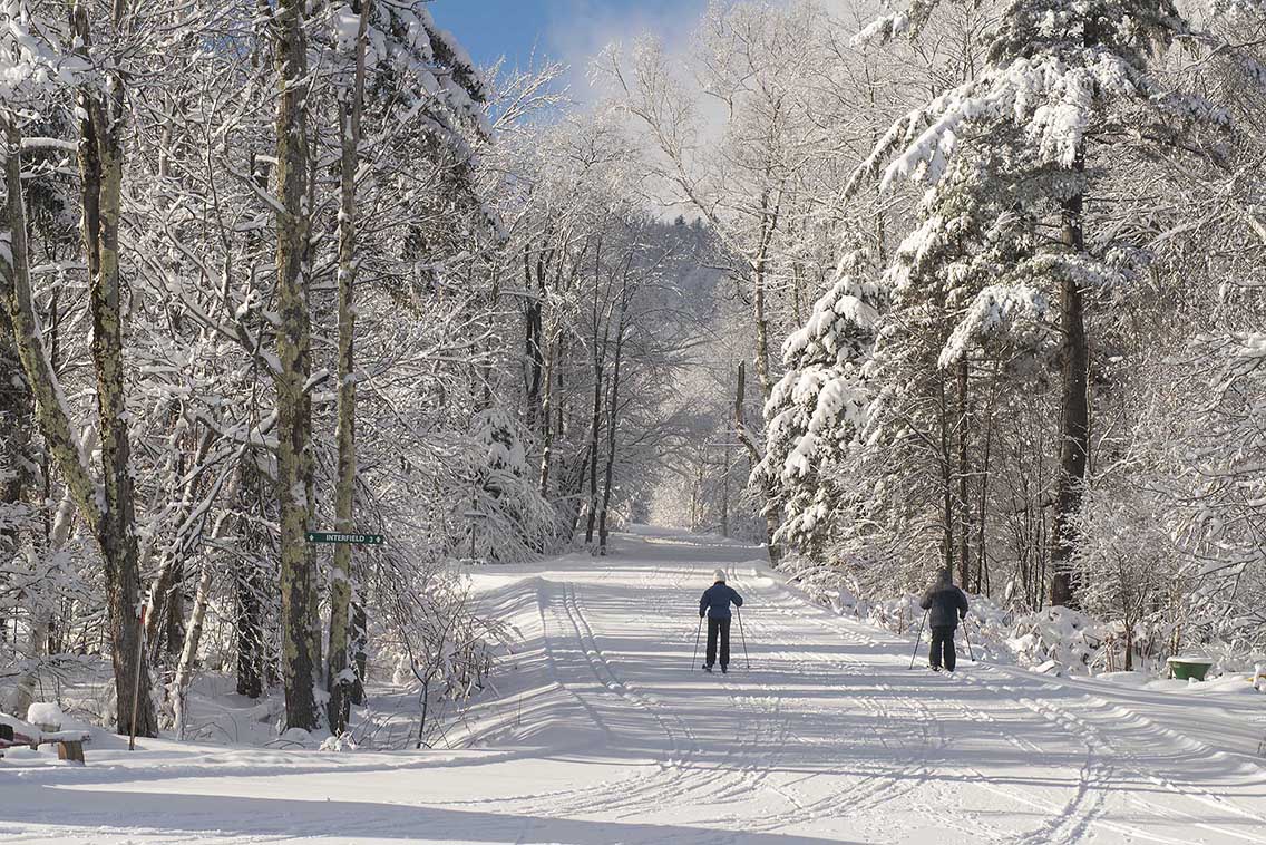 How to Start Cross Country Skiing This Season