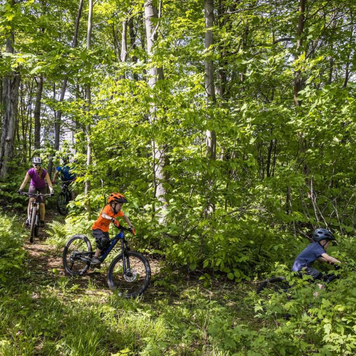 Summer Fun at Vermont Ski Resorts