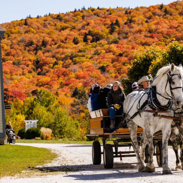 Family-Friendly Fall Events in Vermont
