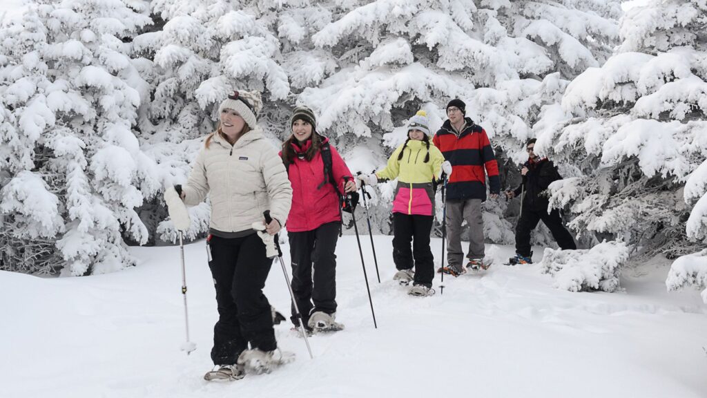 Stratton new years hike