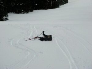 Skier fallen in snow California
