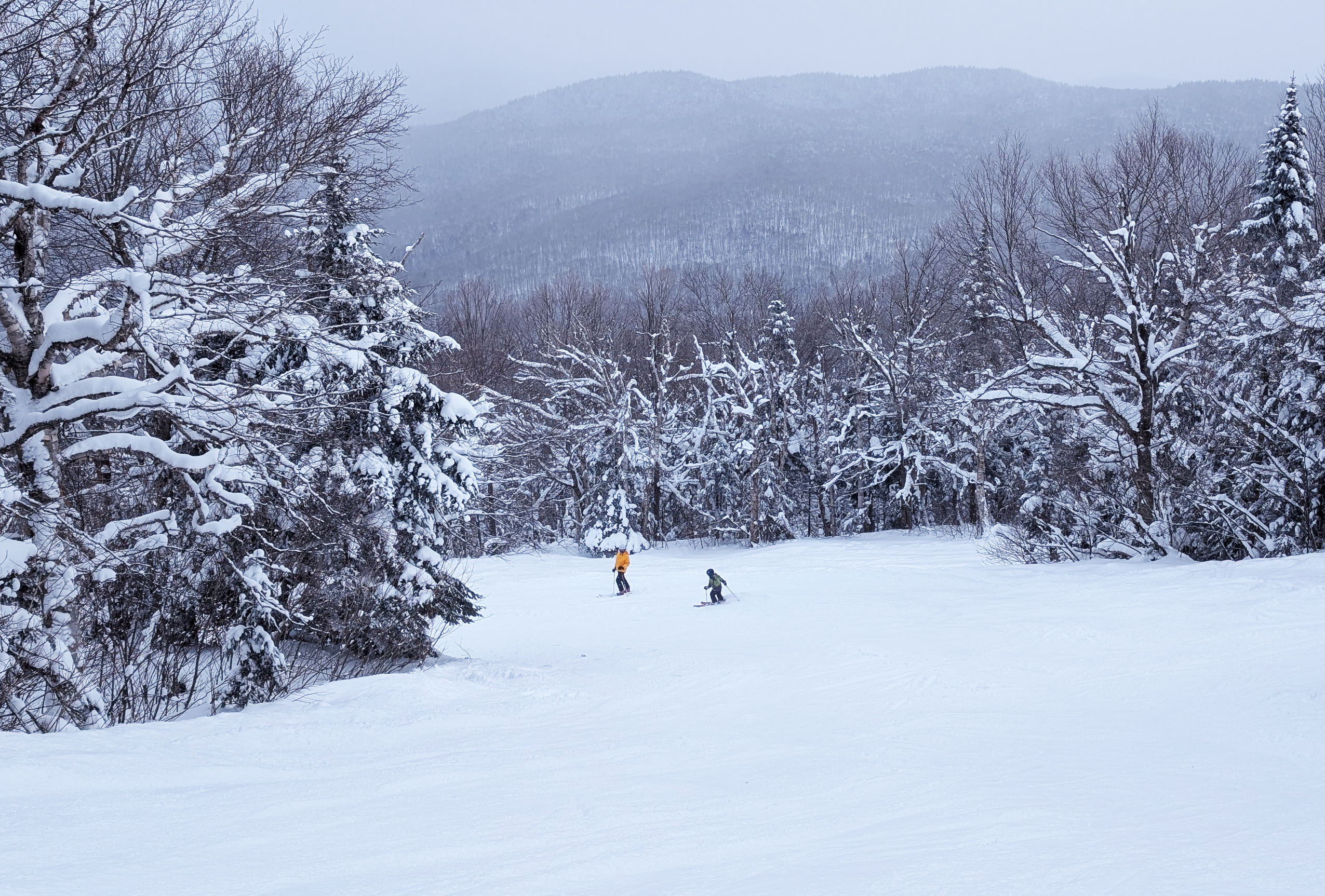 Skiing at Burke Mountain, Vermont