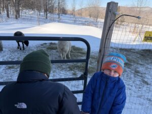 Sheep Vermont Bed & Breakfast at Russell Farm guest house