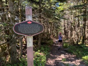 Fire Tower hike at Stratton Mountain in Vermont in summer