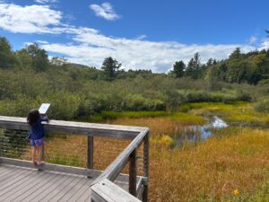 Robert Frost Interpretive Trail in Ripton, Vermont - views from the boardwalk